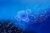 network-g80080e81b_1920